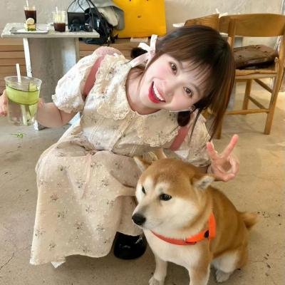 侦探米娜